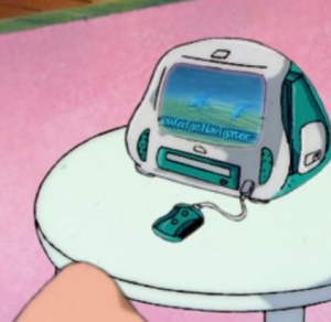 Dolphins.jpg